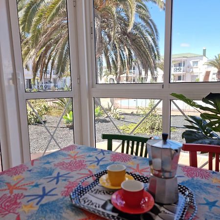 Apartament Piccola Oasi Corralejo Zewnętrze zdjęcie