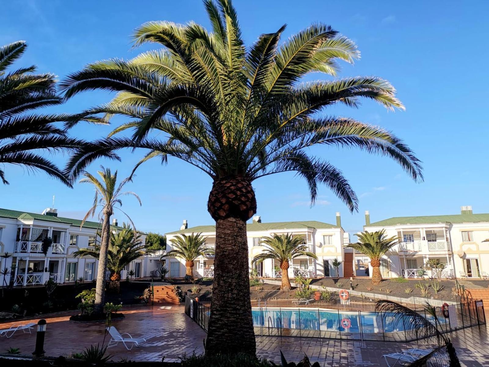 Apartament Piccola Oasi Corralejo Pokój zdjęcie